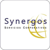Synergos SS.CC. Logotype