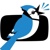 Jaybird Media Logotype