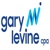 Gary S. Levine, CPA Logotype