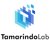 Tamarindo Lab Logotype