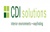 CDI Solutions Logotype