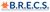 BRECS Biohazard Cleanup & Restoration Logotype