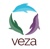 Veza Global Logotype