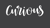 Curious Logotype