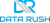 DataRush Ltd Logotype