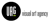 Visual Art Group srl Logotype