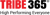 Tribe365 Logotype