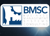 Business Management Systems Consulting Logotype