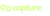 Capture Essence Tech Logotype