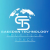 Saeedan Technology Logotype