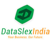 DataSlexIndia Logotype