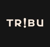 Agence Tribu Logotype
