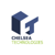 Chelsea Technologies Logotype