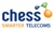 Chess Telecom Logotype