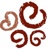 Cinnamon Production Logotype