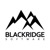 Blackridge Software Logotype