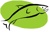 Coho Real Estate Group, LLC Logotype