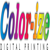 Color-ize Logotype