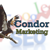 Condor Marketing Logotype