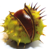 Conker Communications Logotype