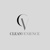 Cleanvenience Logotype