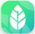 Color Leaves Logotype