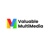 Valuable Multimedia Logotype