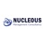Nucleous Management Consultancy Logotype