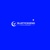 BLUETICKGENG DEVELOPMENT Logotype