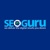 SEOGURU Logotype