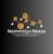 Nommiiys Nexus Logotype
