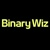Binary Wiz Logotype