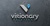 Visionary Solutions BPM LLP Logotype