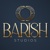 Barish Studios Logotype