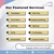 Shan Translation Pte. Ltd. Logotype