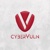 CyberVuln Logotype