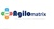 AGILOMATRIX PRIVATE LTD Logotype