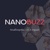 NanoBuzz Logotype