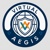 Virtual Aegis Logotype