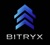 BitRyx Solutions Logotype
