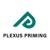 Plexus Priming It Trading & Security Installation - FZCO Logotype