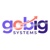 GoBIG Systems, Inc. Logotype