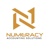 Numeracy Accounting Solutions Logotype