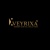Veyrixa NexGen Digital Solutions Logotype
