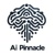 Ai Pinnacle Logotype
