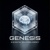 Genesis Solutions Logotype
