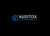Auditox Accountancy Logotype