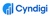 Cyndigi Logotype