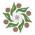 Anvitam Logotype