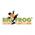 Big Frog Orlando Logotype